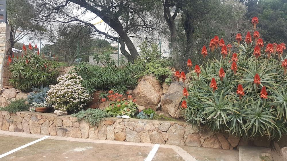 Auberge de jeunesse Corsica Porto-vecchio, Partie Dortoirs Porto-Vecchio (Corsica)